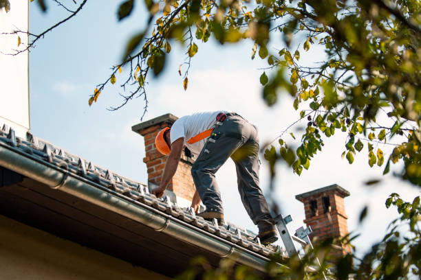 Best Commercial Roofing Services  in Omao, HI