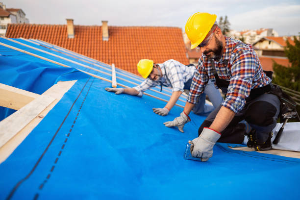 Best Commercial Roofing Services  in Omao, HI