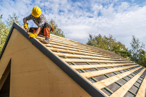 Best Roof Gutter Cleaning  in Omao, HI